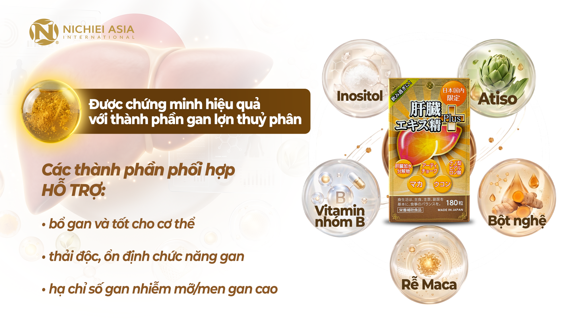 gan-lon-thuy-phan-va-cac-thanh-phan-phoi-hop-trong-liver-hydrolyzte-plus-nichiei-asia-ho-tro-phuc-hoi-chuc-nang-gan