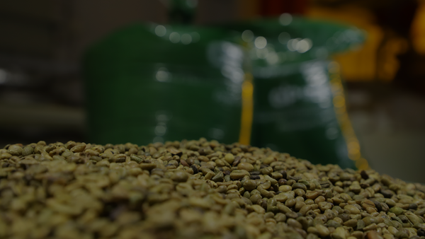 túi yếm khí grain pak