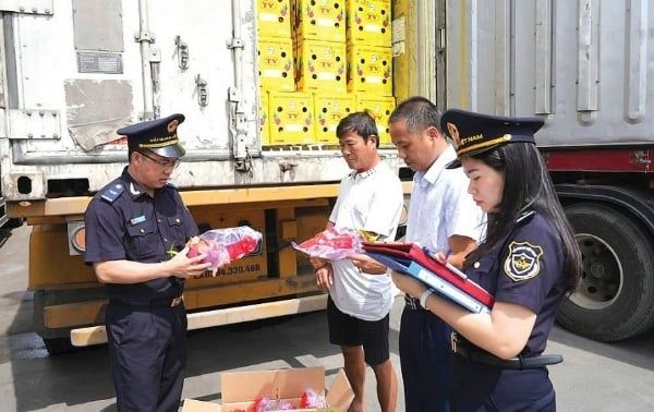 Dịch vụ XNK thuê ngoài
