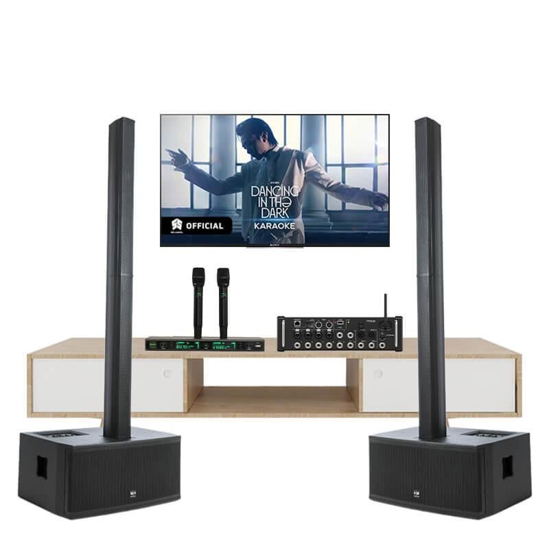 dan-karaoke-cao-cap-se-audiotechnik-c6-hat-hay