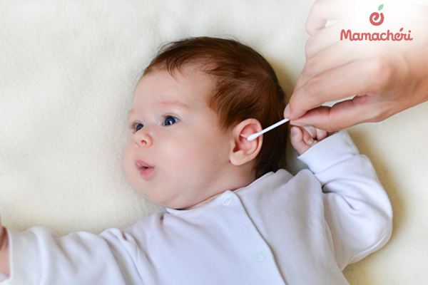 Đôi tai bé nhỏ có cơ chế tự bảo vệ và làm sạch vô cùng thông minh