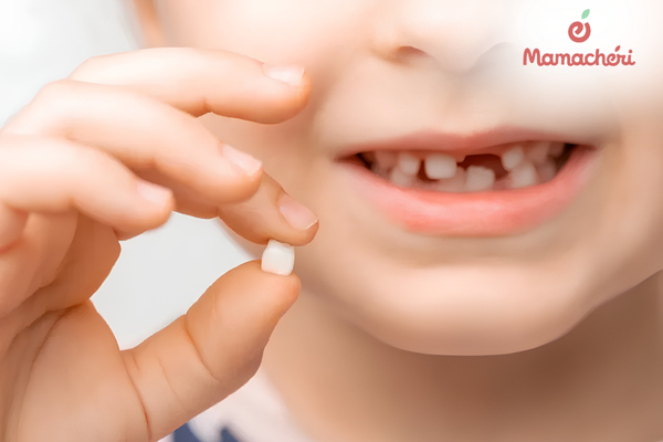 Cột mốc thay răng đầu đời đánh dấu một bước tiến mới trong sự trưởng thành của con yêu