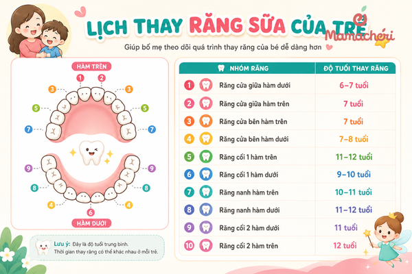 Nắm rõ lịch thay răng giúp mẹ đồng hành cùng con tự tin hơn trong giai đoạn này