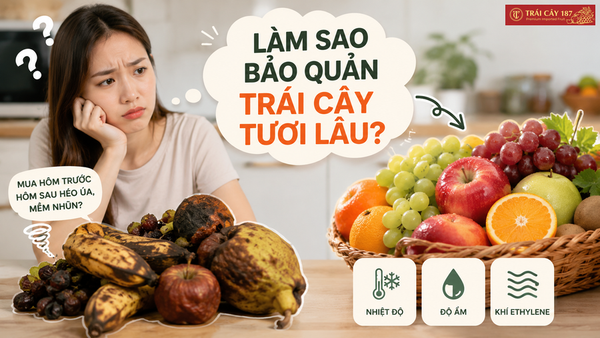 Làm sao bảo quản trái cây tươi lâu