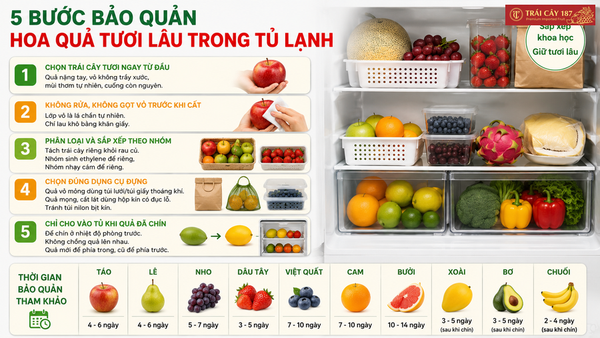 5 bước bảo quản hoa quả tươi lâu trong tủ lạnh