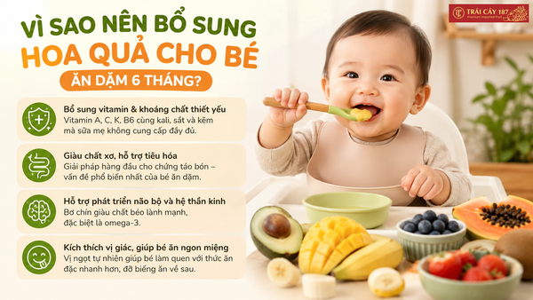 Vì sao nên bổ sung hoa quả cho bé ăn dặm khi 6 tháng tuổi?