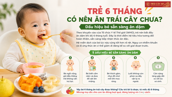 Trẻ 6 tháng có nên cho ăn trái cây chưa?