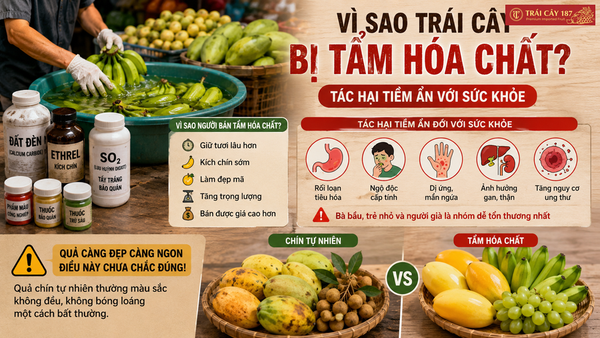 Vì sao trái cây bị tẩm hóa chất