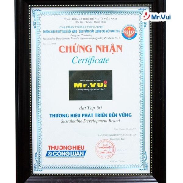 giới thiệu công ty mr.vui