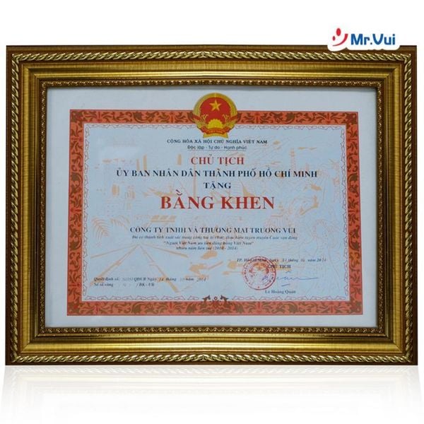 giới thiệu công ty mr.vui