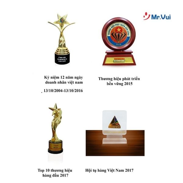 giới thiệu công ty mr.vui