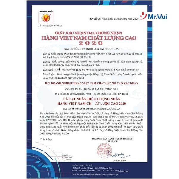 giới thiệu công ty mr.vui