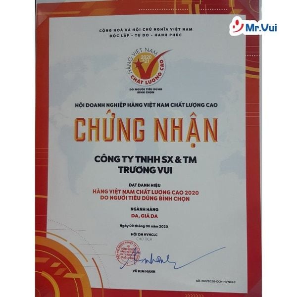 giới thiệu công ty mr.vui