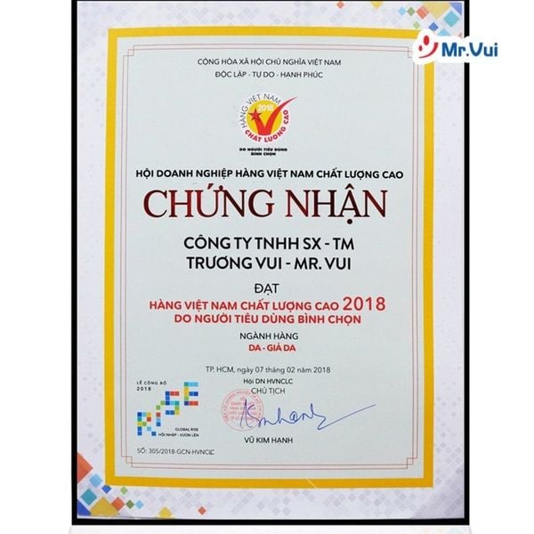 giới thiệu công ty mr.vui
