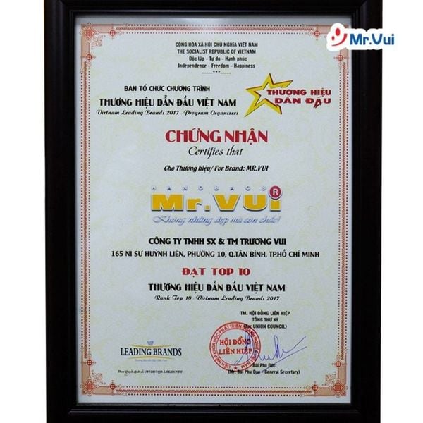 giới thiệu công ty mr.vui