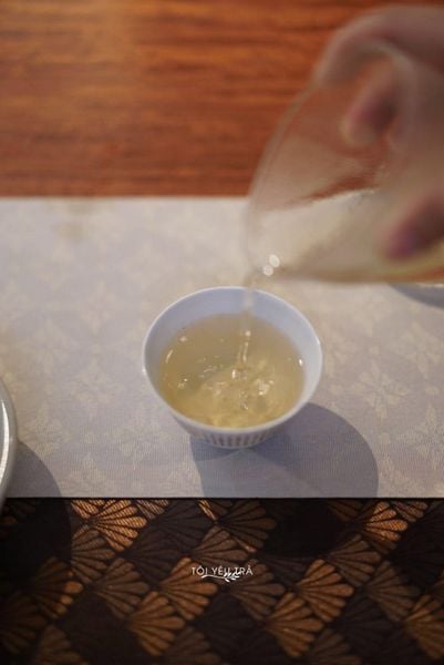 Bạch Trà Shan Tuyết Cổ Thụ Hà Giang
