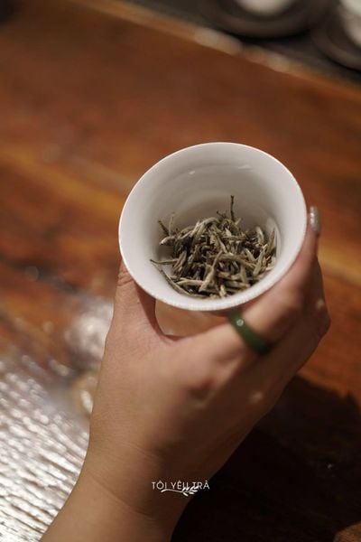 Bạch Trà Shan Tuyết Giá Bao Nhiêu? Đọc Trước Khi Mua