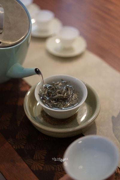 Uống Bạch Trà Shan Tuyết