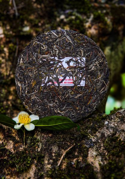 Bánh trà phổ nhĩ Tây Côn Lĩnh