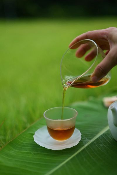 trà cho bà bầu