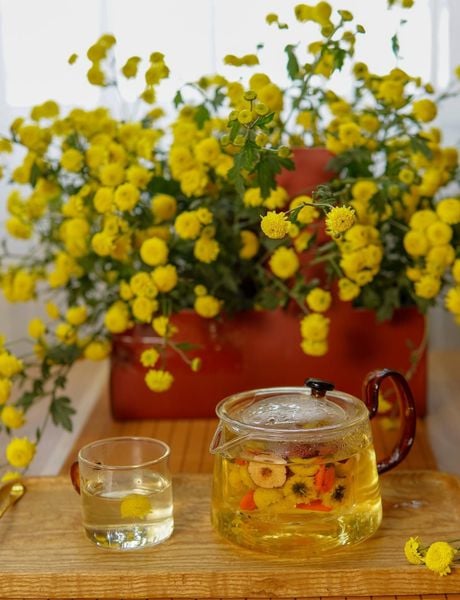 Trà ngủ ngon an thần cho dân văn phòng