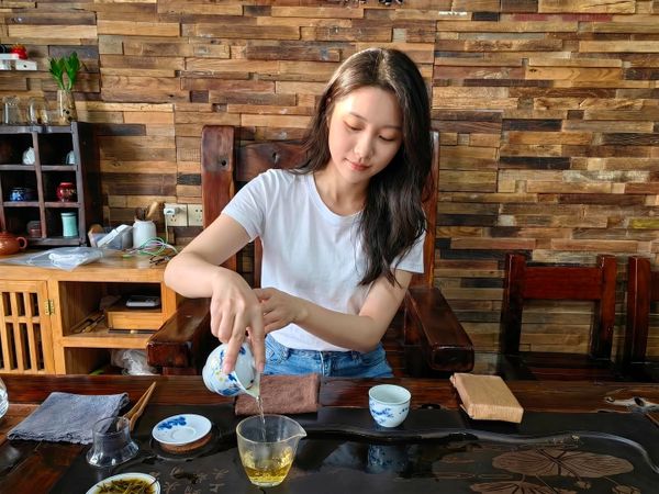 Trà chữa tiểu đường huyết áp cao có thật không?