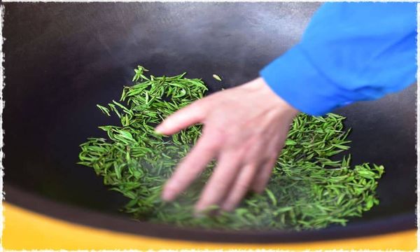 Lục trà sao chảo
