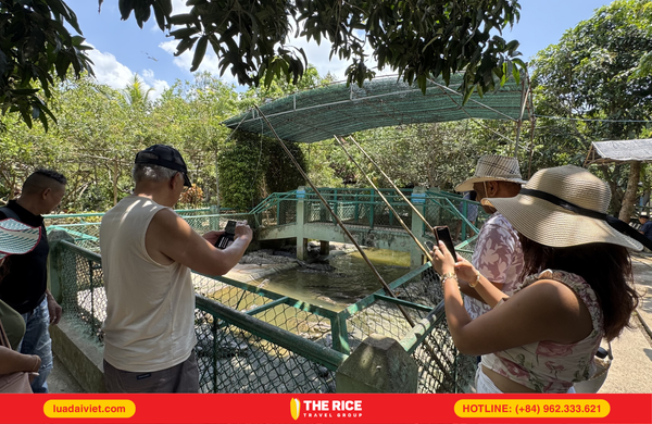đặt tour ngay