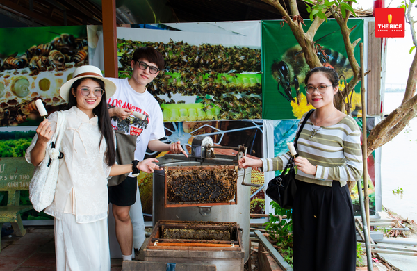 The Rice Travel Group - công ty du lịch uy tín, đáng trải nghiệm cho mọi du khách