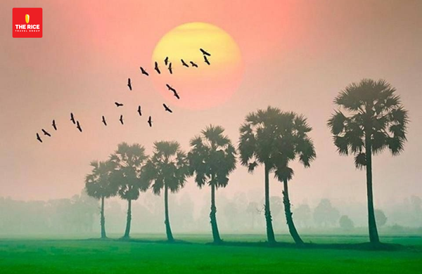 The Southwestern region of Vietnam boasts abundant, poetic, and captivating natural beauty that enchants any visitor.
