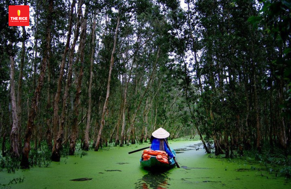 U Minh Ha National Park