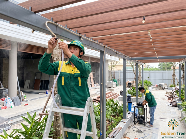 Thi công lắp đặt hệ thống tưới phun sương tự động Goldentree