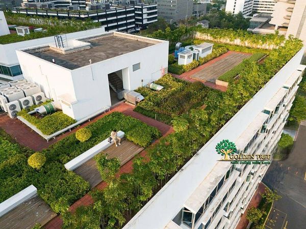 Thi công vườn sân thượng trọn gói chuẩn kỹ thuật cùng Goldentree