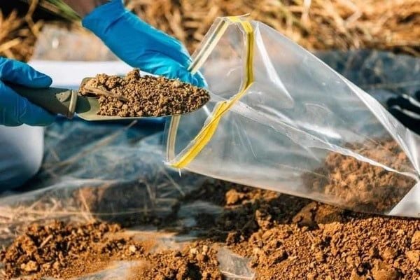 Ferrous Sulfate (FeSO4) - Sắt Sulfat xử lý đất