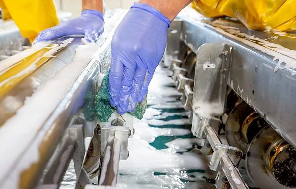 Erucic Acid (C22H42O2) - Axit Erucic_chất tẩy rửa