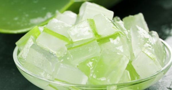 Carrageenan tạo gel làm thạch