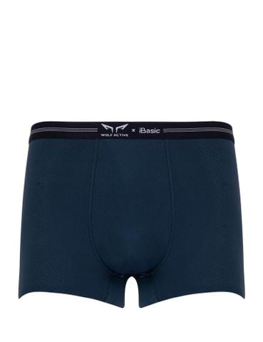 Quần lót nam thể thao Wolf Active x iBasic airy thoáng khí phom trunk không đường may - PANM156