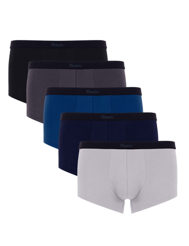 Combo 5 Quần lót nam phom trunk iBasic logo ẩn cotton USA kháng khuẩn - PANM130