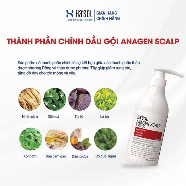 Dầu Gội Ha'sol Hỗ Trợ Giảm Rụng Tóc Anagen Scalp Shampoo 500g