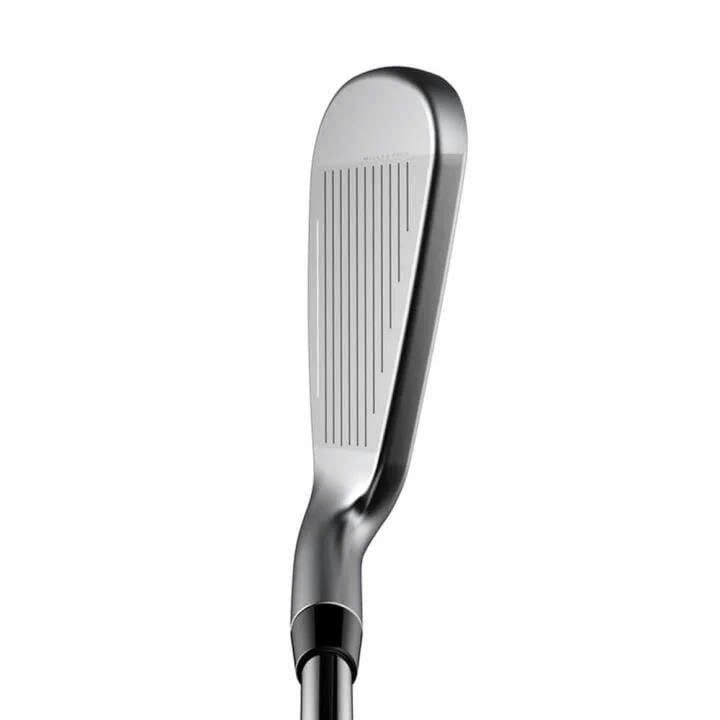 Bộ gậy sắt LTDX SV BK | Cobra