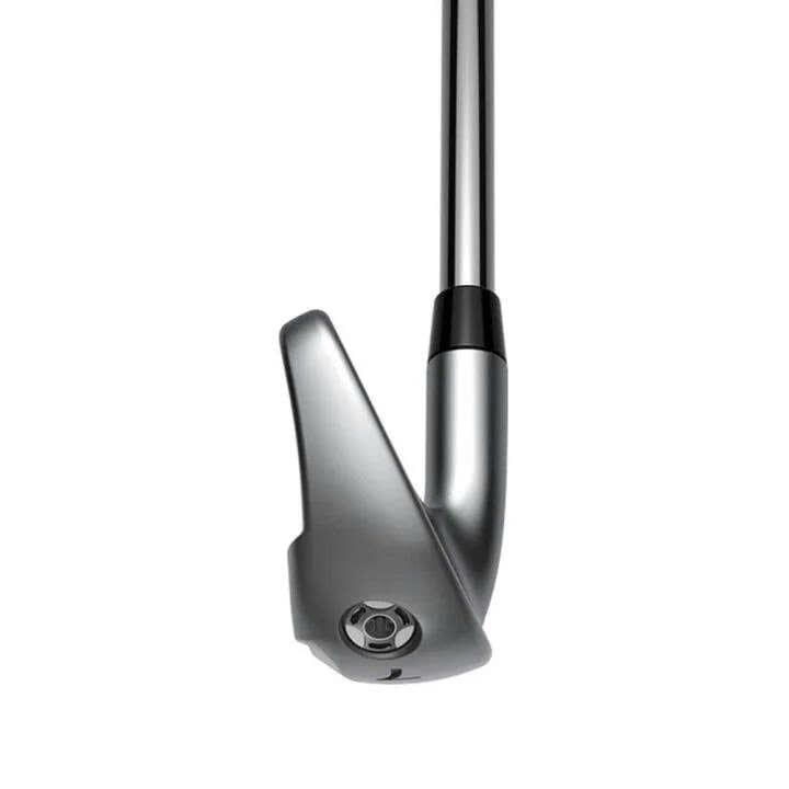 Bộ gậy sắt LTDX SV BK | Cobra