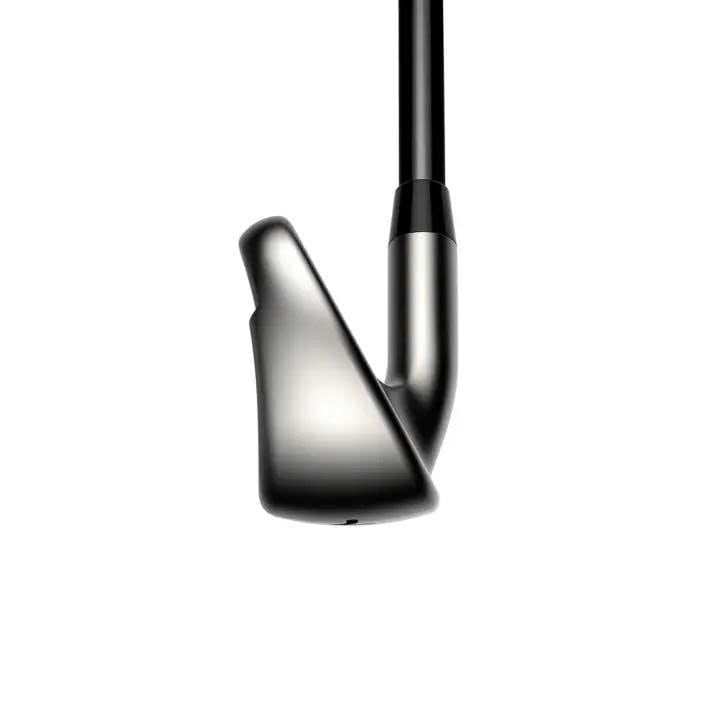 Bộ gậy sắt nữ DS-ADAPT MAX | Cobra