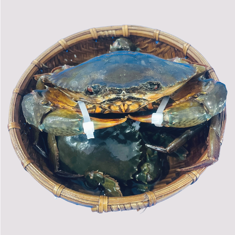 Cua Gạch Cà Mau Size 300 - 400g