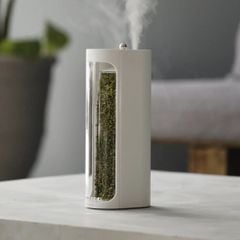 Máy Tạo Ẩm Lọc Không Khí Moss Air MOSSLAB – Sử Dụng Rêu Sống Tự Nhiên, Thiết Kế Terrarium