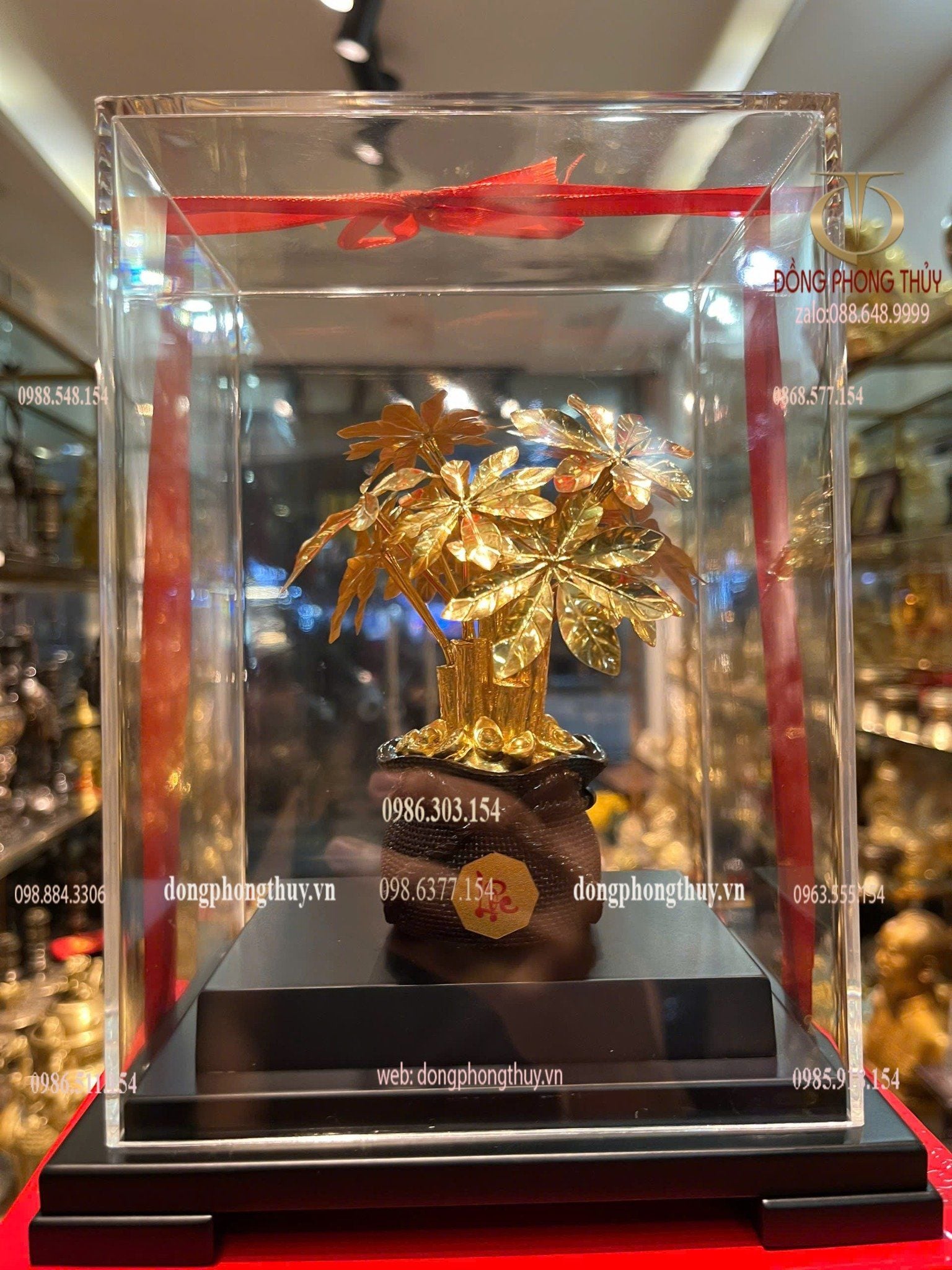 Cây kim tiền mạ vàng 24k