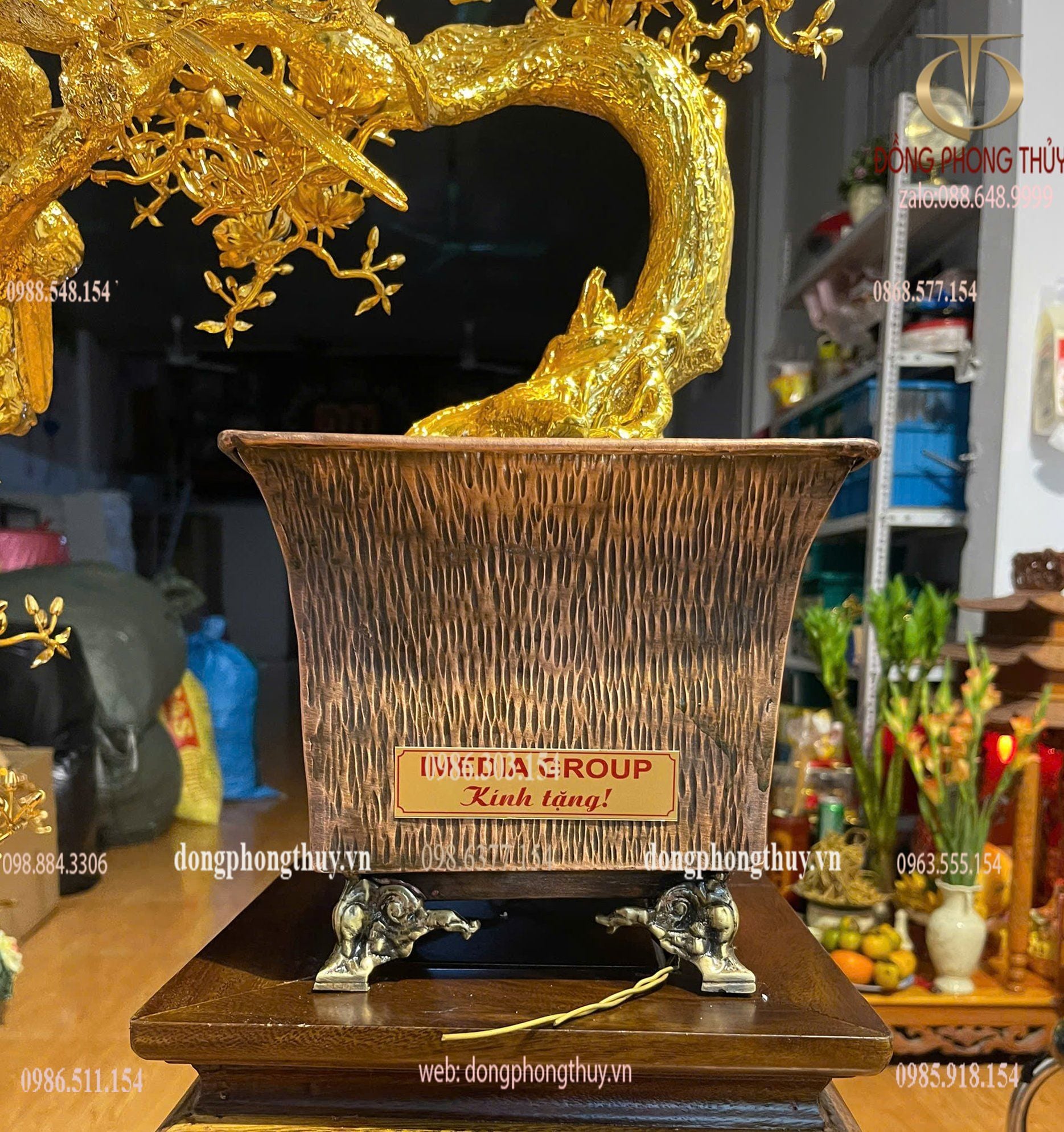 Quà tân gia mạ vàng : cây mai vàng bằng đồng mạ vàng