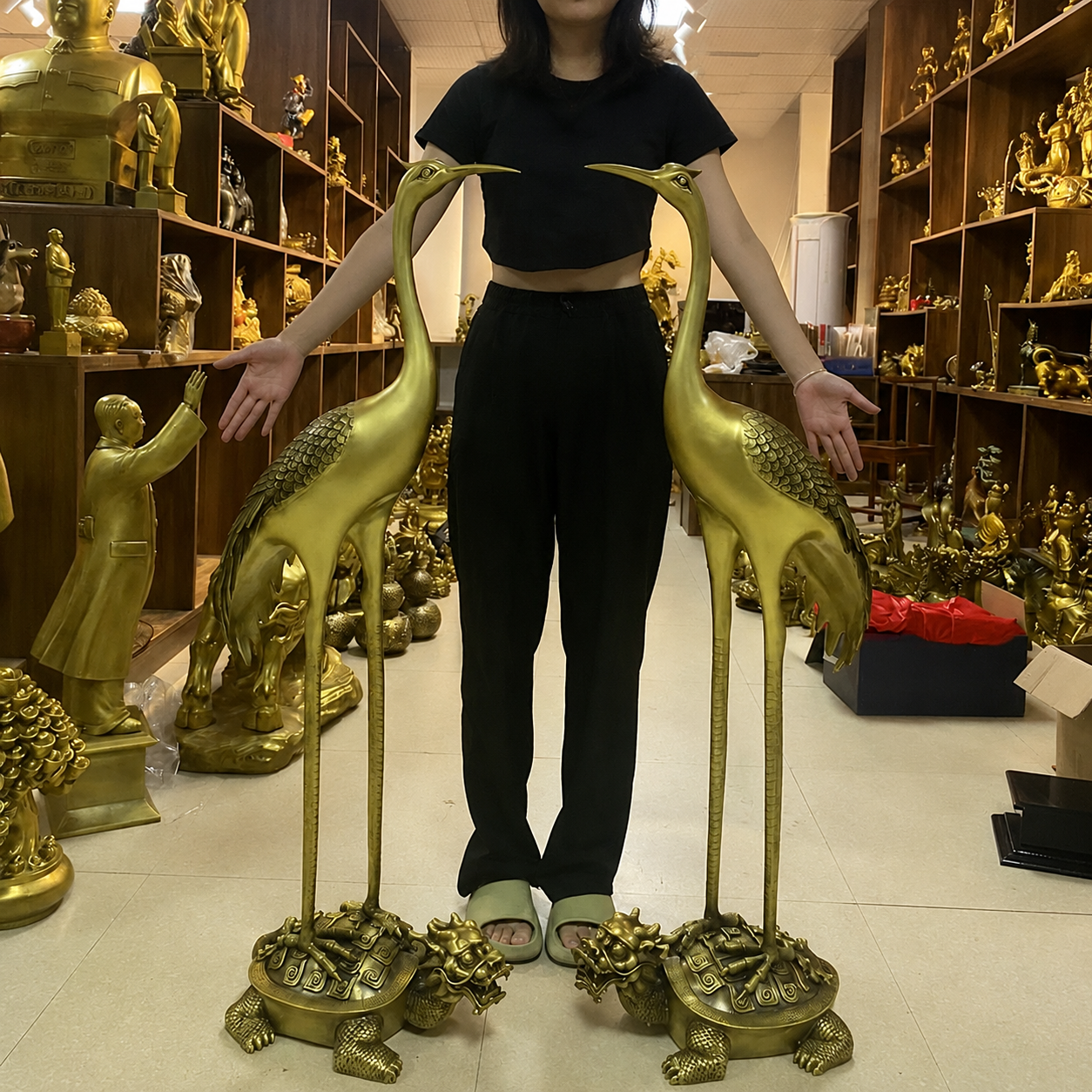 hạc đồng