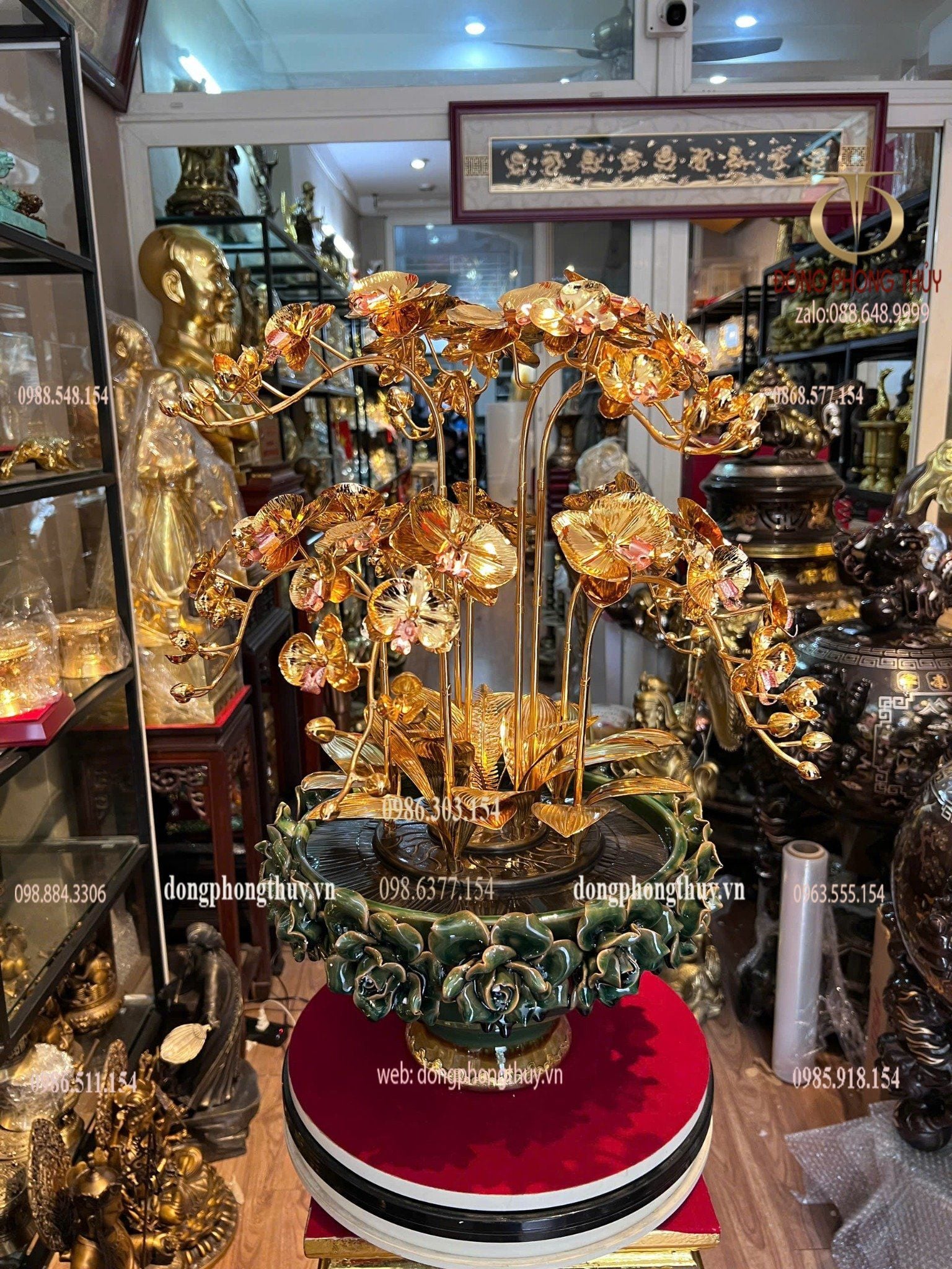 Chậu hoa lan mạ vàng 24k