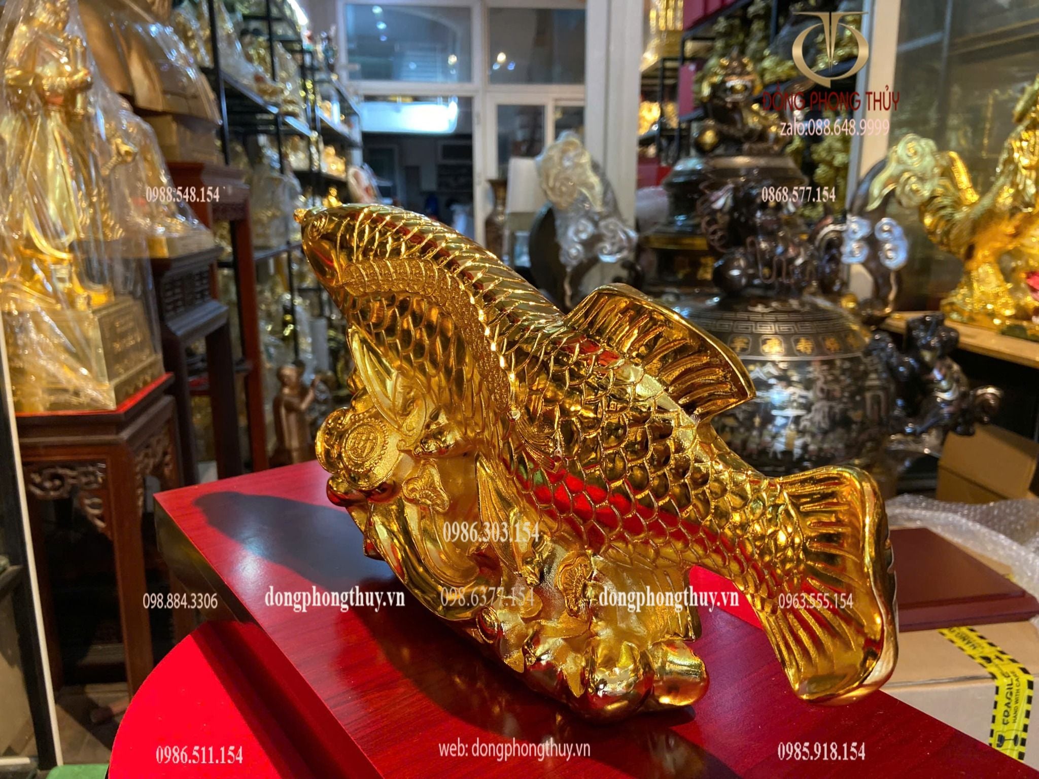 Cá rồng mạ vàng 24k