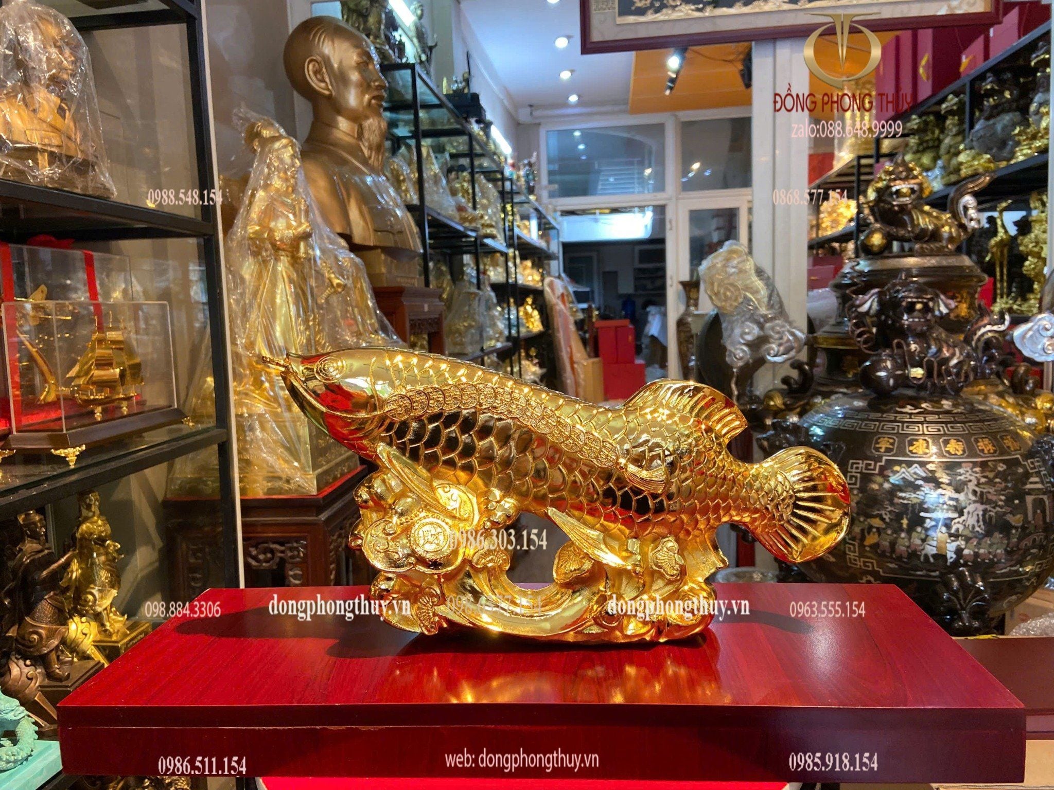 Cá rồng mạ vàng 24k